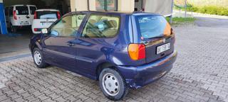 VOLKSWAGEN Polo usata 6