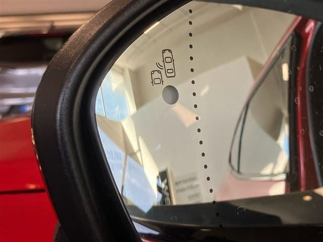 RENAULT Arkana usata 28