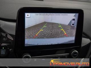 FORD Fiesta usata, con Fendinebbia