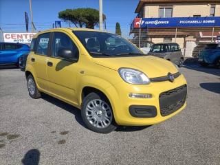 FIAT Panda 1.0 FireFly S&S Hybrid PREZZO REALE