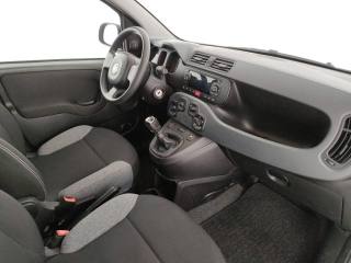FIAT Panda usata, con Immobilizzatore elettronico