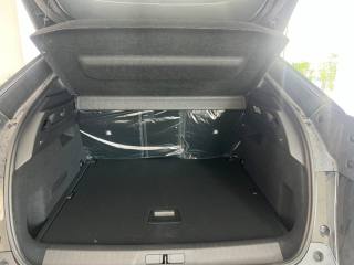 PEUGEOT 3008 usata, con Controllo vocale