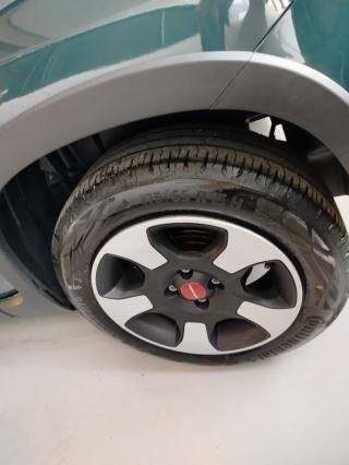 FIAT Panda Cross usata, con Airbag testa