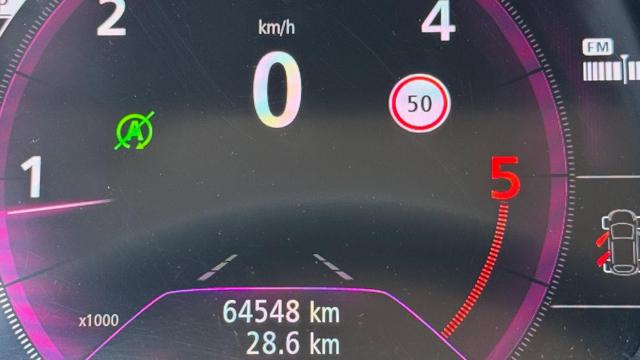 RENAULT Scenic usata, con Chiusura centralizzata