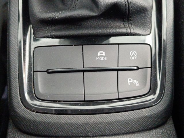 SKODA Kamiq usata, con Specchietti laterali elettrici