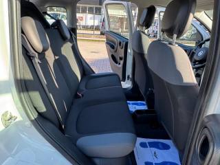 FIAT New Panda usata 17