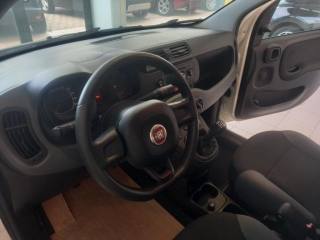 FIAT Panda usata, con Climatizzatore