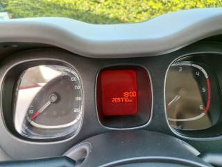 FIAT Panda usata 23