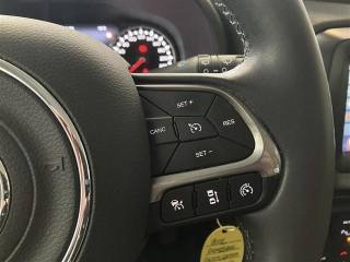 JEEP Renegade usata 20