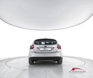 FORD Focus usata 5