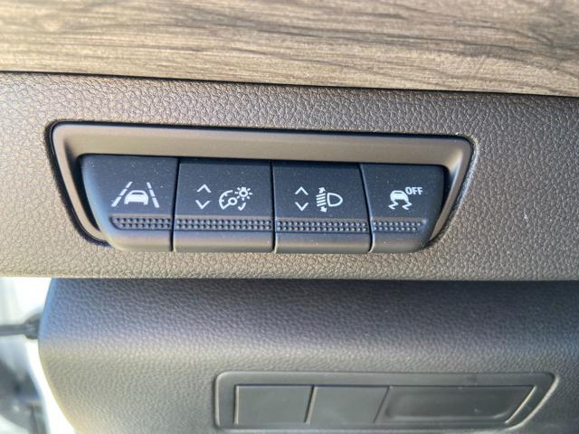 RENAULT Kangoo usata, con Specchietti laterali elettrici