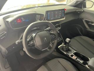 PEUGEOT 2008 usata, con Cruise Control