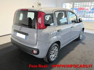 FIAT Panda usata, con Alzacristalli elettrici