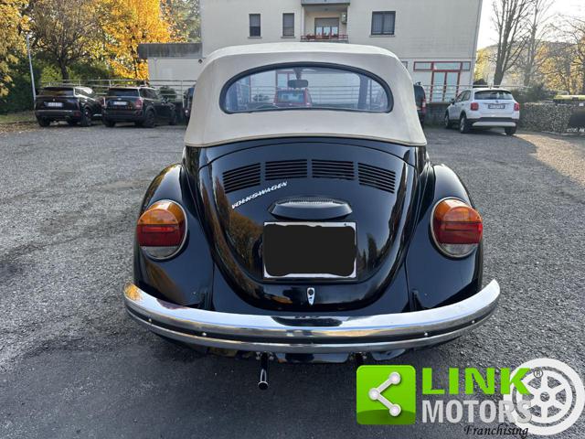 VOLKSWAGEN Maggiolone usata 6