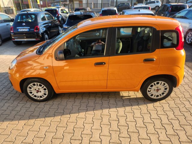 FIAT Panda usata, con Climatizzatore