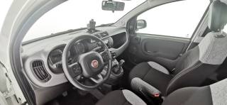 FIAT Panda usata 51