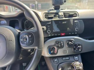 FIAT Panda usata, con Cronologia tagliandi