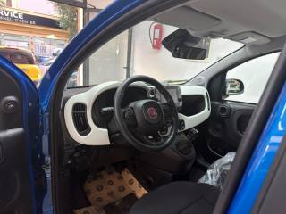 FIAT Pandina usata, con Immobilizzatore elettronico