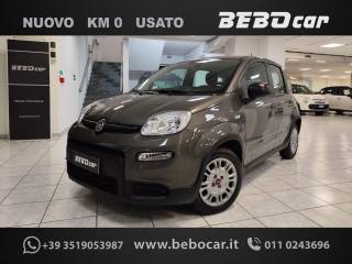 FIAT Panda 1.0 GSE HYBRID CITY LIFE