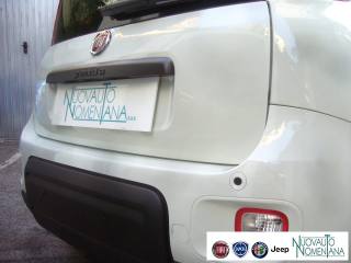 FIAT Panda usata, con Controllo trazione