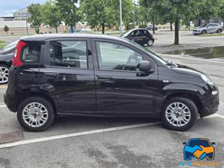 FIAT Panda usata, con Alzacristalli elettrici
