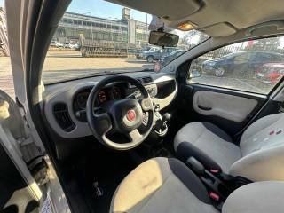 FIAT Panda usata, con Airbag Passeggero
