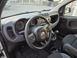 FIAT Panda usata 16