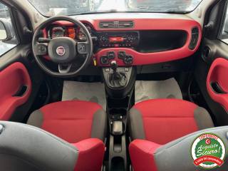 FIAT Panda usata, con Climatizzatore