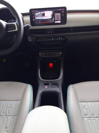 FIAT 600 usata, con Fendinebbia