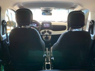 FIAT Panda usata, con Servosterzo