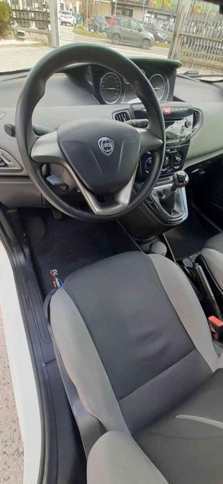LANCIA Ypsilon usata 17