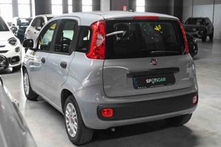 FIAT Panda usata, con Climatizzatore