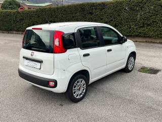 FIAT Panda usata, con Airbag Passeggero