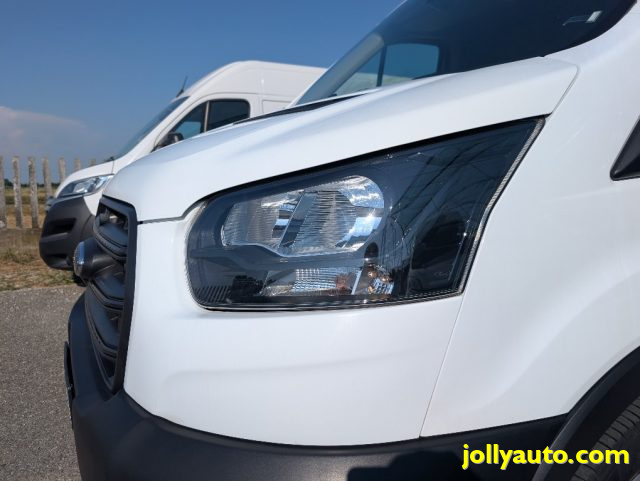 FORD Transit usata, con Fendinebbia