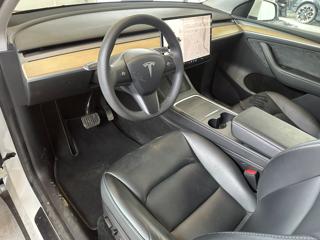 TESLA Model Y usata, con Fendinebbia