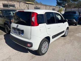 FIAT Panda usata, con Airbag