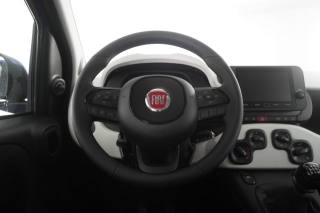 FIAT Panda usata 11