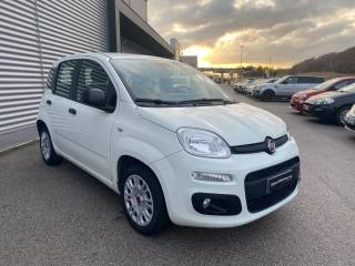FIAT Panda usata, con Airbag Passeggero