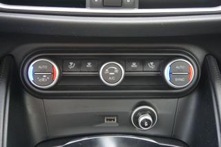 ALFA ROMEO Stelvio usata, con Bracciolo