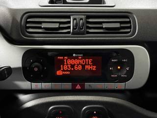 FIAT Panda Cross usata 16