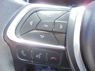 FIAT Tipo usata 38