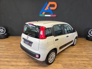 FIAT Panda usata, con Autoradio
