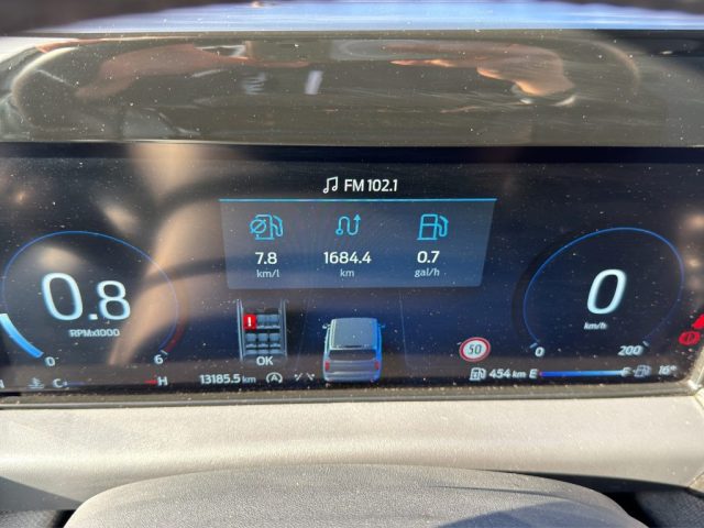 FORD Tourneo Custom usata 14