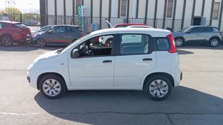 FIAT Panda usata 20