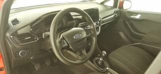 FORD Fiesta usata 56