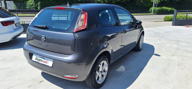 FIAT Punto usata 12