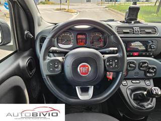 FIAT Panda usata 14