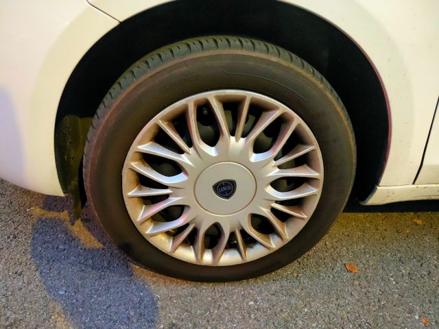 LANCIA Ypsilon usata 20