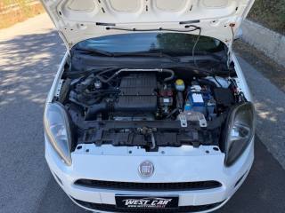 FIAT Punto Evo usata, con Vivavoce