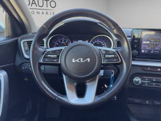 KIA XCeed usata, con Fendinebbia